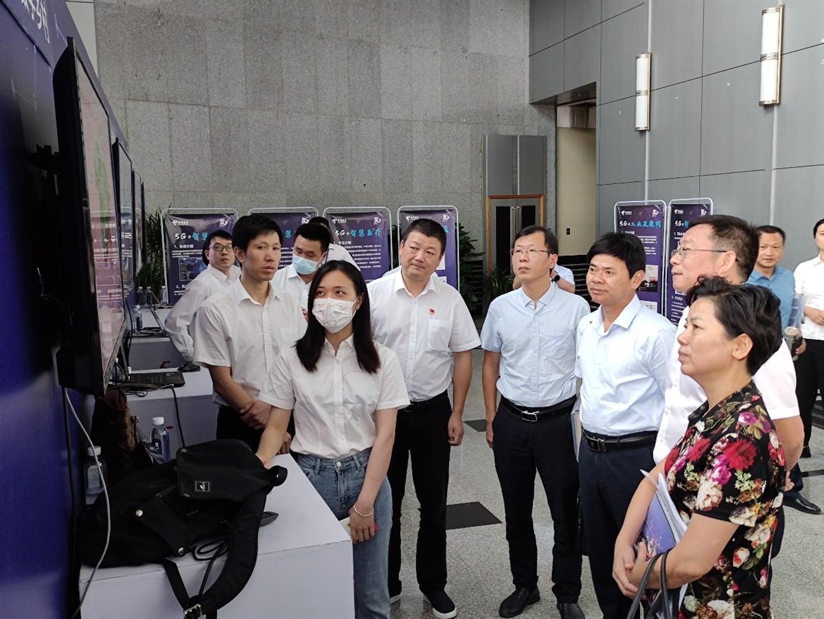 最新鳳凰衛視直播源，探索與體驗